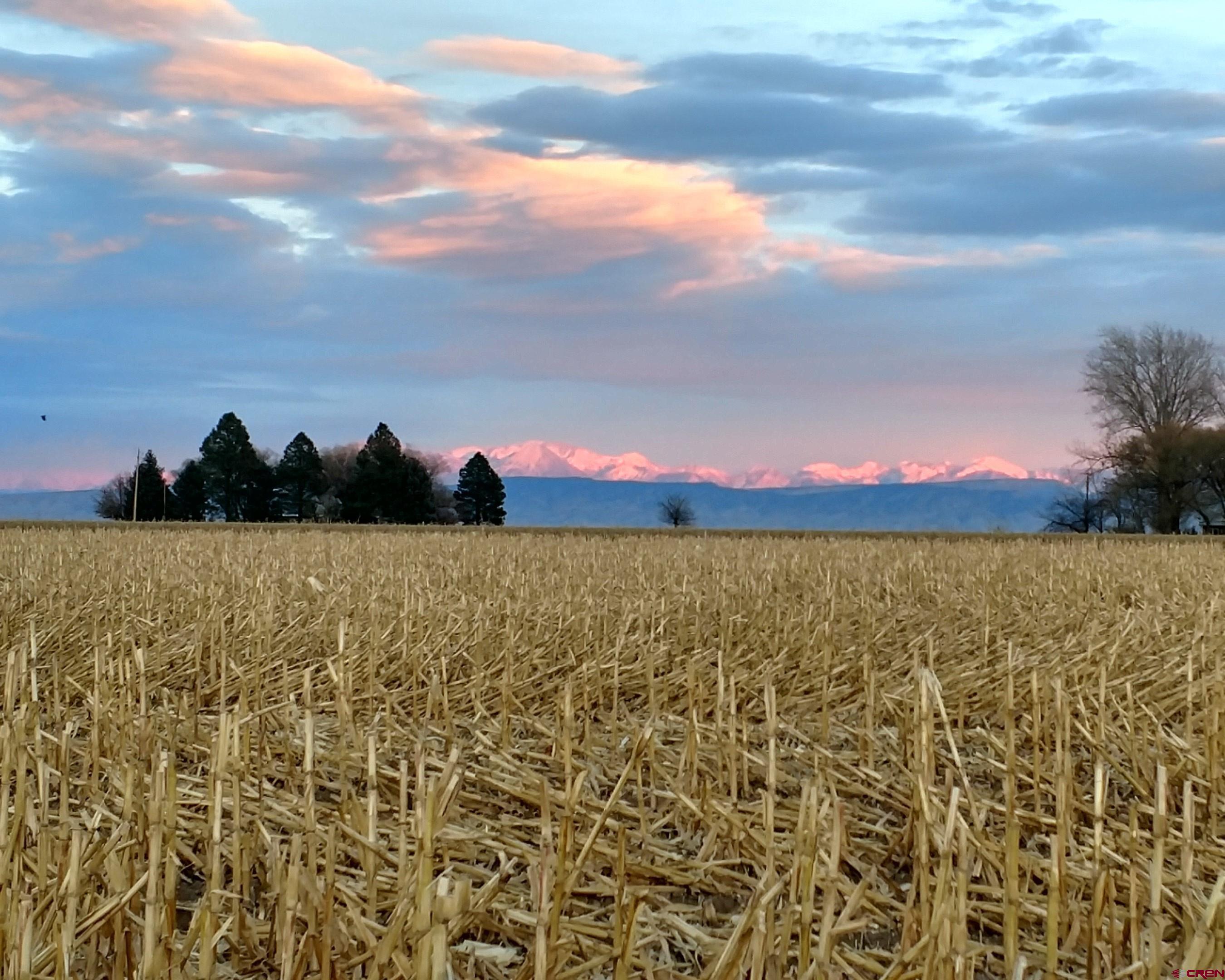 Tbd Cedar Road Delta, CO 81416 - Photo 4 of 11