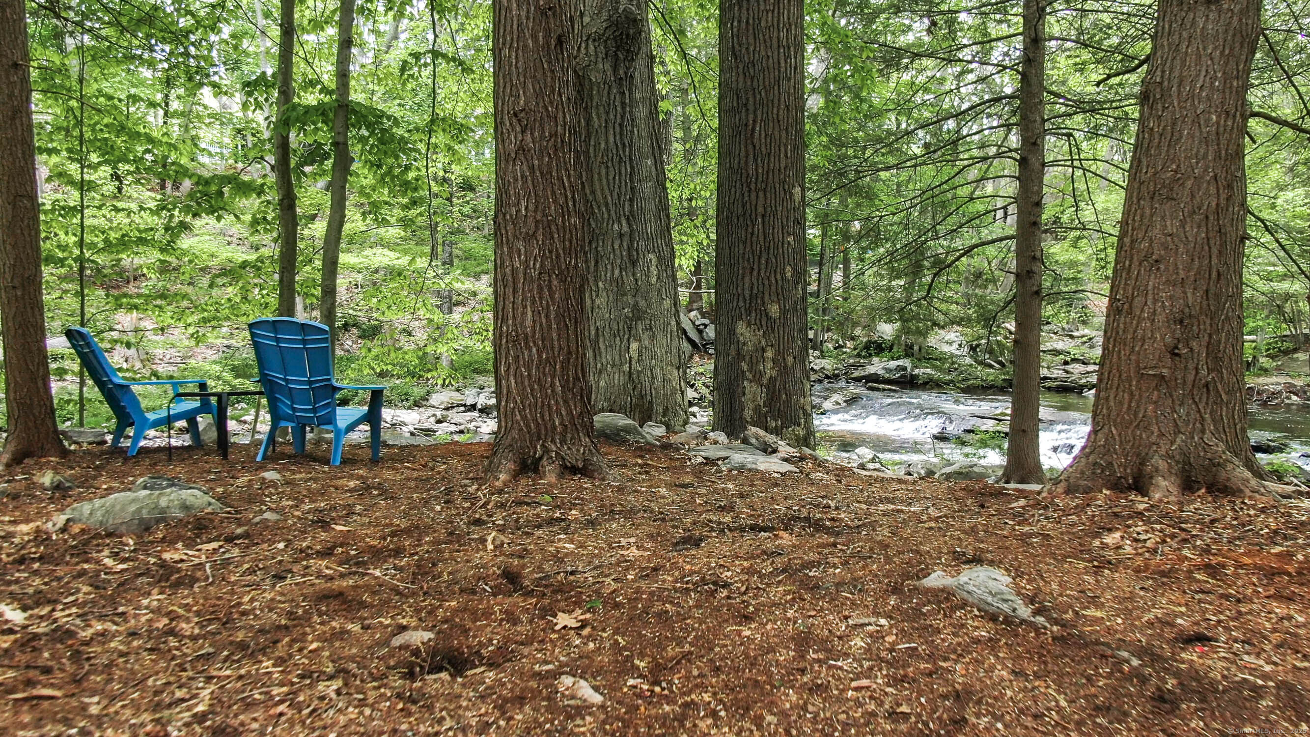 48 Wrights Crossing Road Pomfret, CT 06259 - Photo 9 of 34 a view of a tree in the middle of a forest