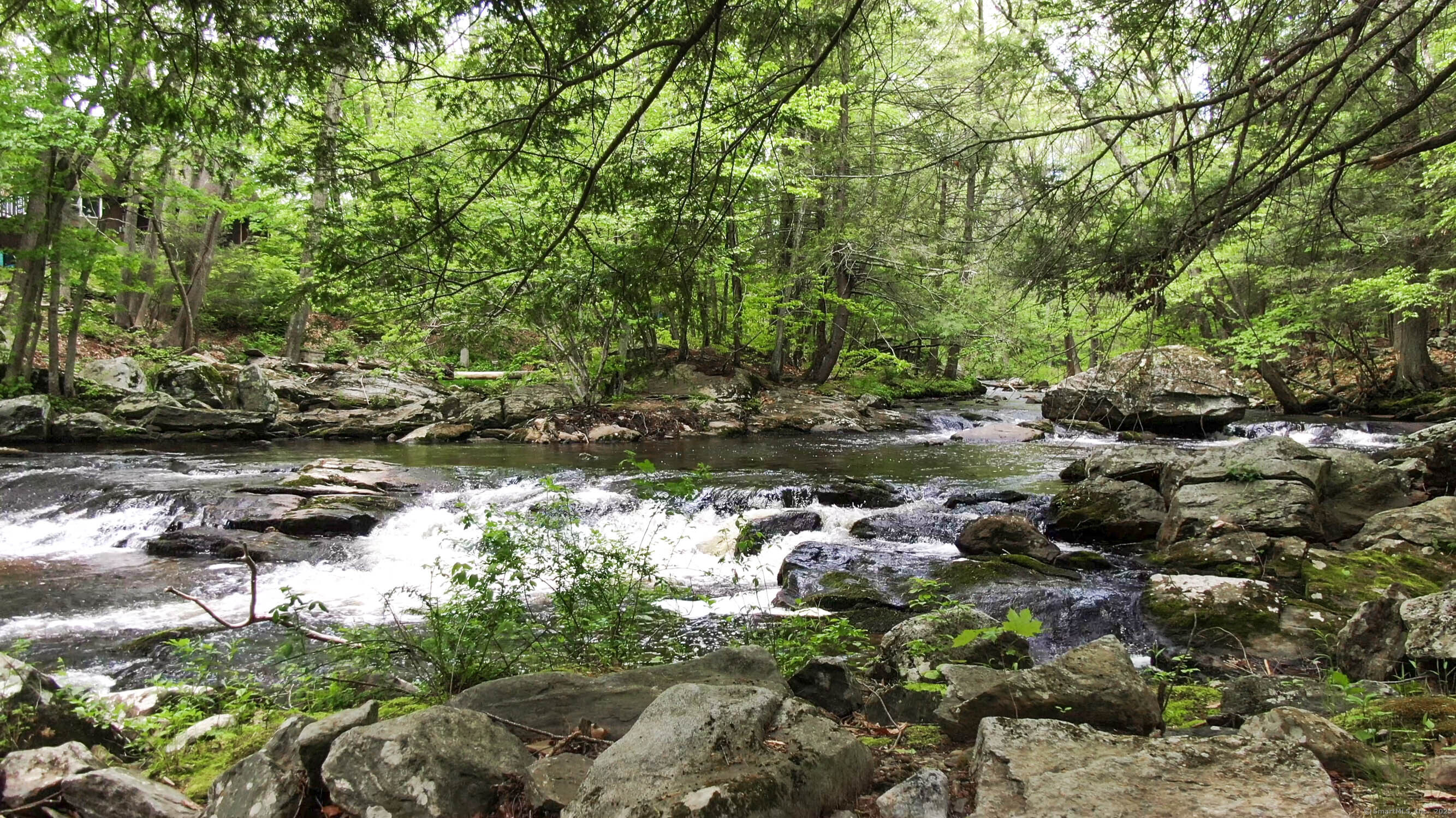 48 Wrights Crossing Road Pomfret, CT 06259 - Photo 10 of 34 a picture of some trees