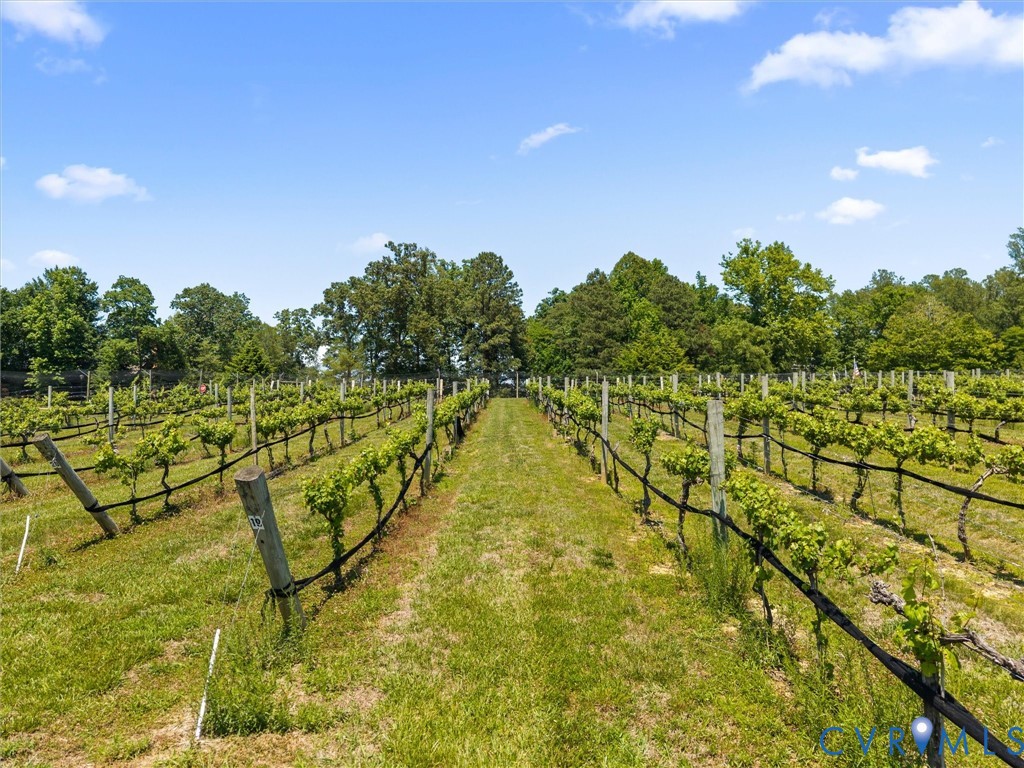 8587 Barrique Road New Kent, VA 23124 - Photo 62 of 64