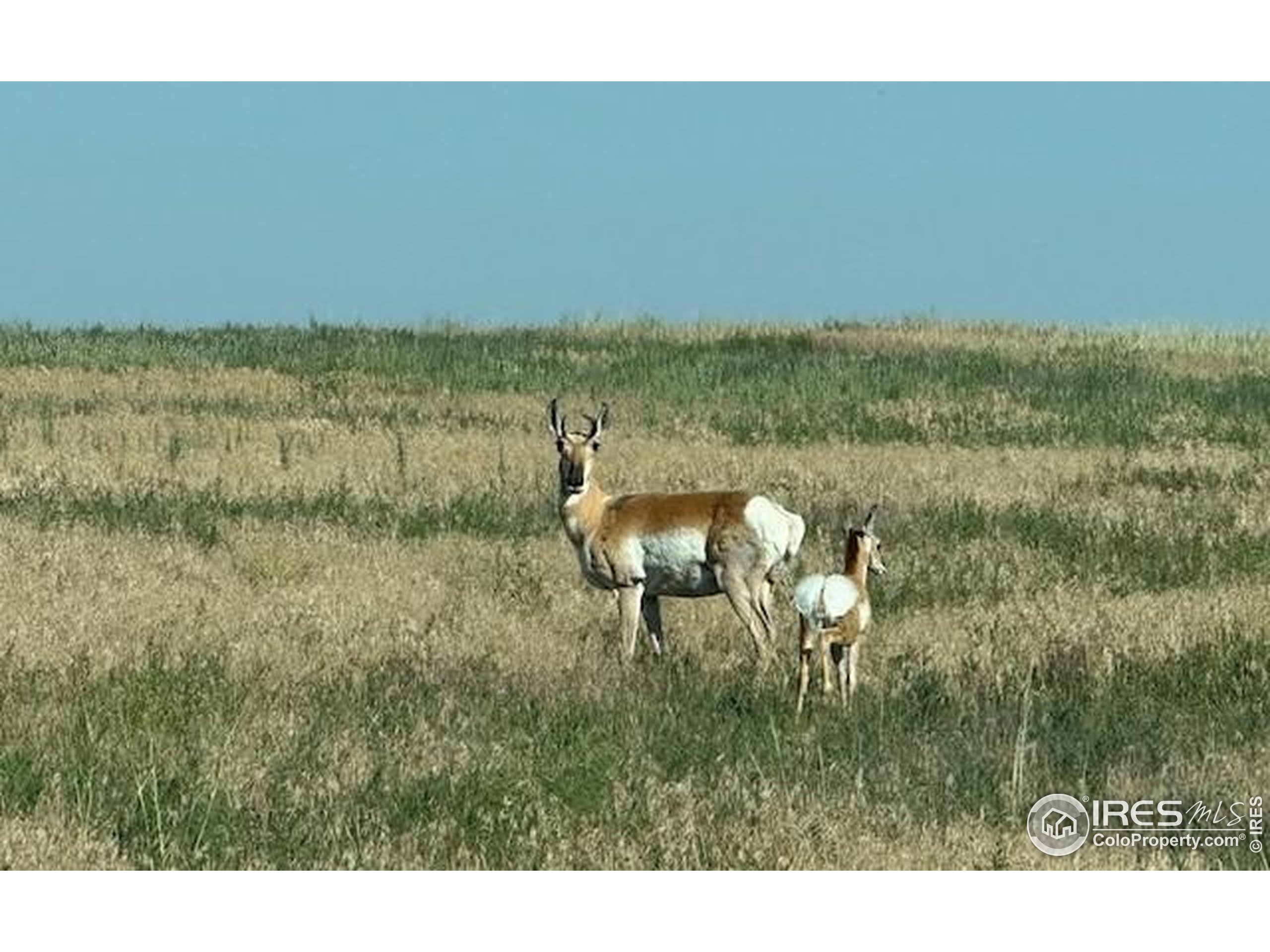 3 Tbd Carr, CO 80612 - Photo 11 of 11