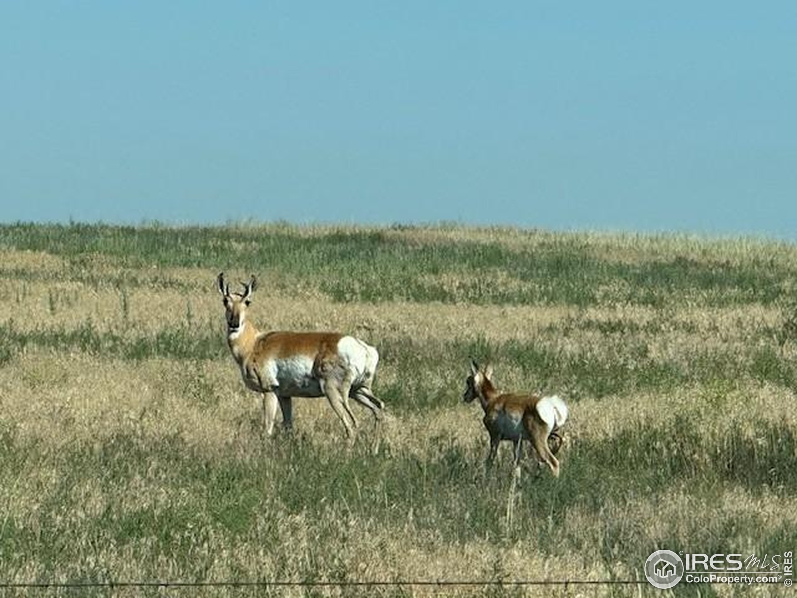 3 Tbd Carr, CO 80612 - Photo 10 of 11