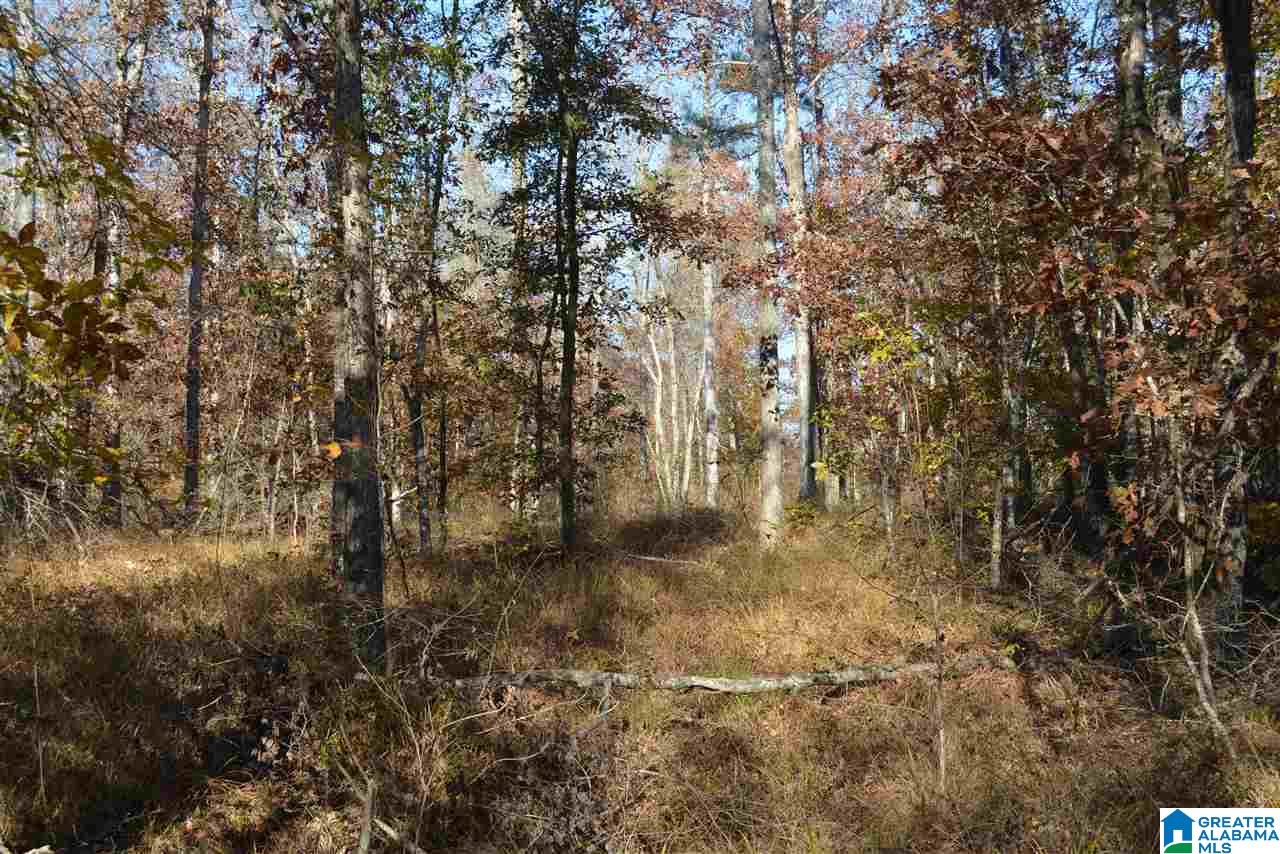 8333 Chelsea Road, Unit 2 Columbiana, AL 35051 - Photo 6 of 13