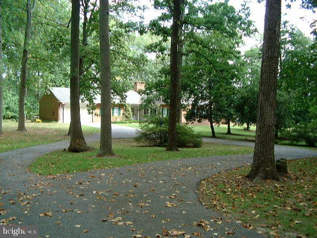 27 Old South River Road Edgewater, MD 21037 - Photo 15 of 29 a view of a tree in the garden