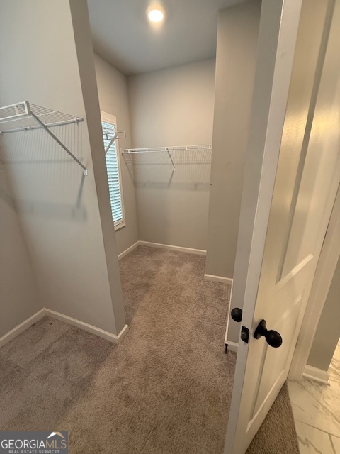 123 Weeping Moss Way Kathleen, GA 31047 - Photo 19 of 34 a view of bathroom