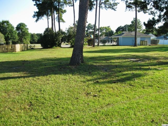 Lot 33 Drayton Court Murrells Inlet, SC 29576 - Photo 8 of 15 Gallery Image 8