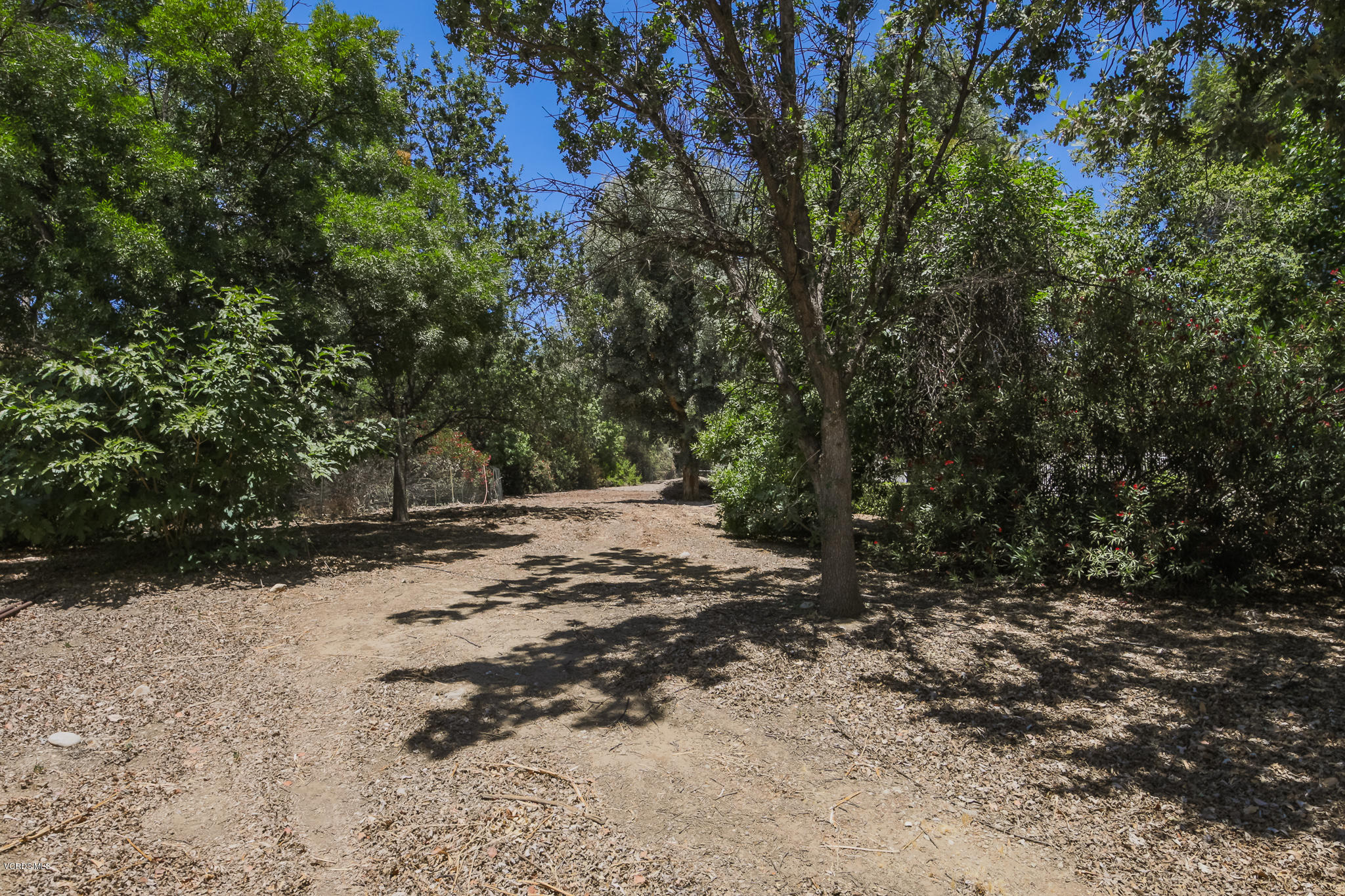 30633 Colt Road Castaic, CA 91384 - Photo 50 of 59 B71A5946