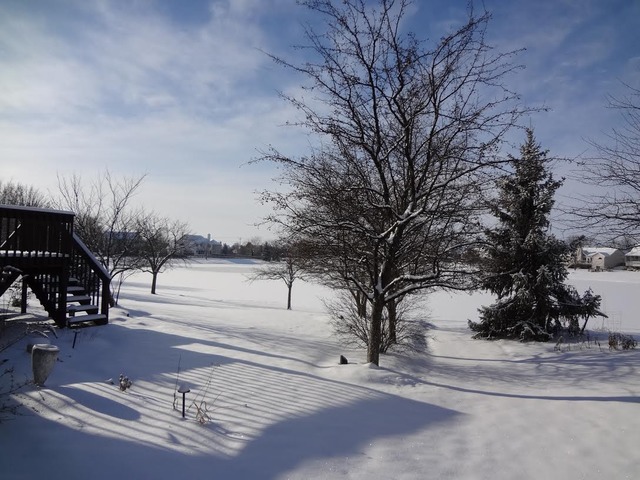 13336 Round Barn Road Plainfield, IL 60585 - Photo 23 of 25 a view of a street with houses
