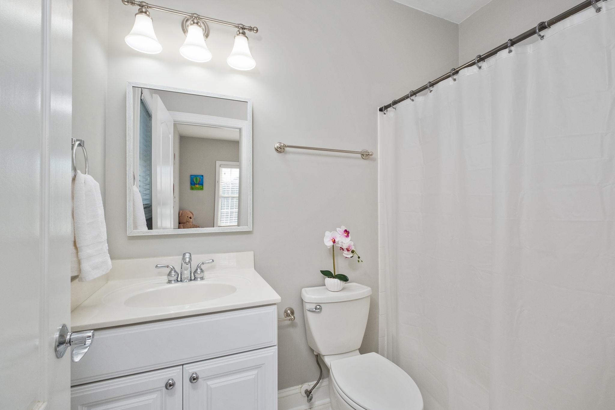 909 Hancock Drive Ruckersville, VA 22968 - Photo 35 of 68 a bathroom with a sink vanity mirror and toilet