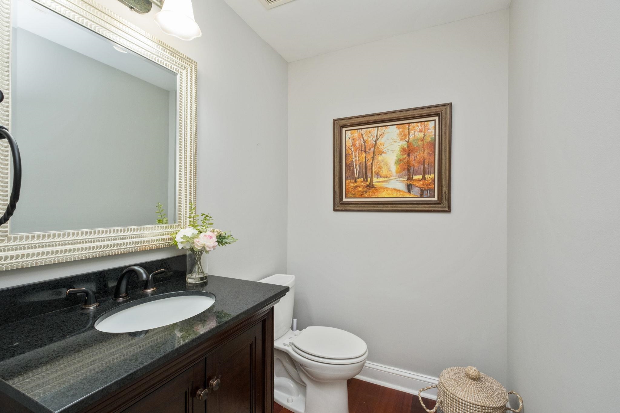 909 Hancock Drive Ruckersville, VA 22968 - Photo 8 of 68 a bathroom with a granite countertop toilet a sink and a mirror