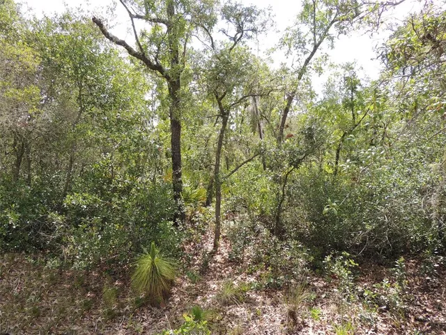 $12,500 | 5551 Southwest 103rd Court, Cedar Key, FL 32625