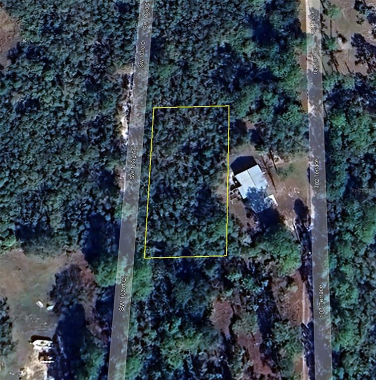 5551 Southwest 103rd Court Cedar Key, FL 32625 - Photo 7 of 7