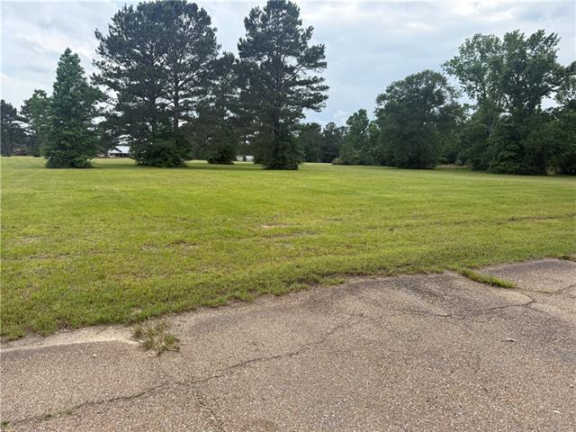 Tbd Halbert Road Amite, LA 70422 - Photo 4 of 7