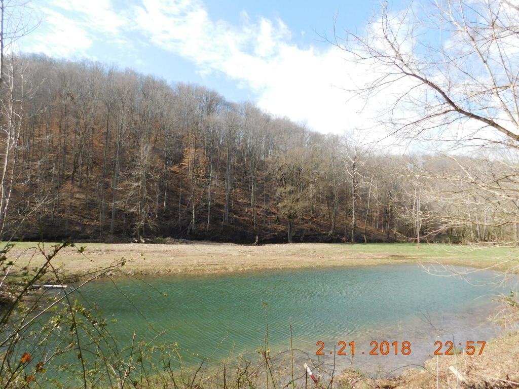 2584 Powell River Road Harrogate, TN 37752 - Photo 3 of 4 2584 powell river 3