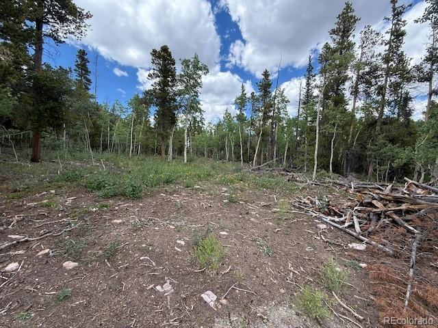 451 Lamb Mountain Road Fairplay, CO 80440 - Photo 11 of 29 a view of a forest with trees