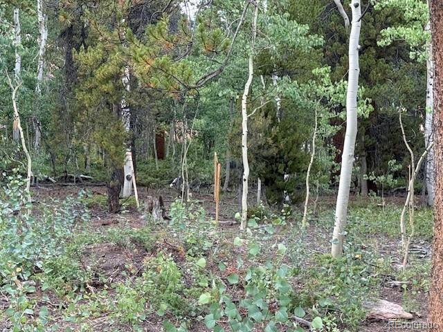 451 Lamb Mountain Road Fairplay, CO 80440 - Photo 12 of 29 a view of forest