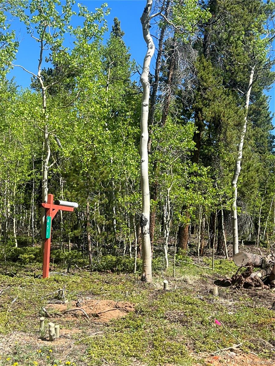 451 Lamb Mountain Road Fairplay, CO 80440 - Photo 18 of 29 a view of a park