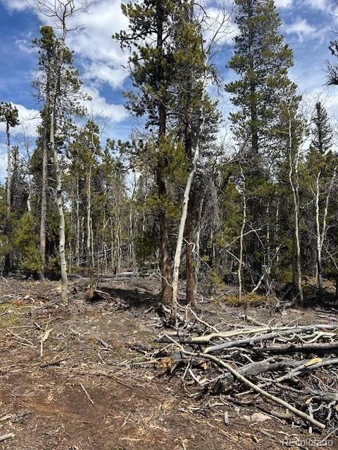 451 Lamb Mountain Road Fairplay, CO 80440 - Photo 21 of 29