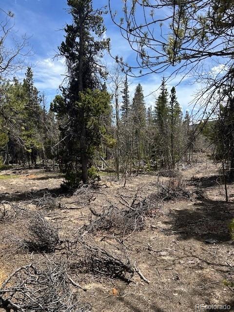 451 Lamb Mountain Road Fairplay, CO 80440 - Photo 22 of 29 a view of outdoor space with trees