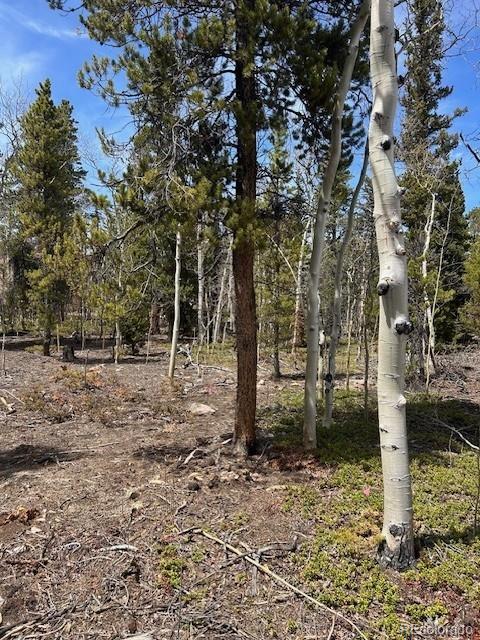 451 Lamb Mountain Road Fairplay, CO 80440 - Photo 24 of 29 a backyard of a house with lots of green space
