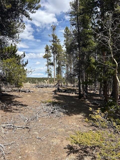451 Lamb Mountain Road Fairplay, CO 80440 - Photo 25 of 29 a view of a yard with trees