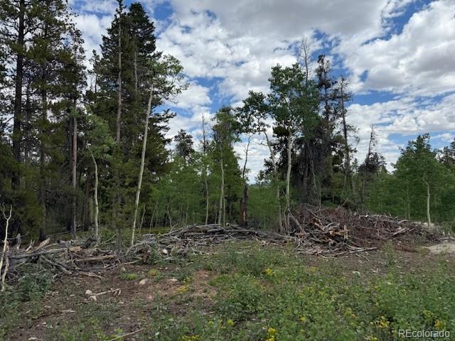 451 Lamb Mountain Road Fairplay, CO 80440 - Photo 28 of 29 a view of a forest with trees in the background