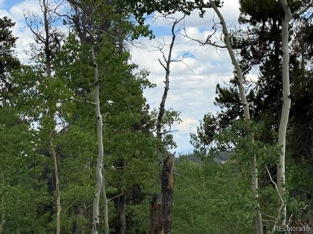 451 Lamb Mountain Road Fairplay, CO 80440 - Photo 29 of 29 a view of a garden with a tree