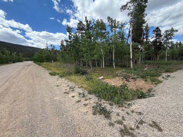 451 Lamb Mountain Road Fairplay, CO 80440 - Photo 3 of 29 a backyard of a house with lots of green space