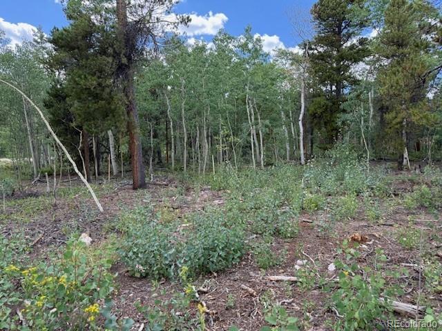 451 Lamb Mountain Road Fairplay, CO 80440 - Photo 7 of 29 a backyard of a house with lots of green space