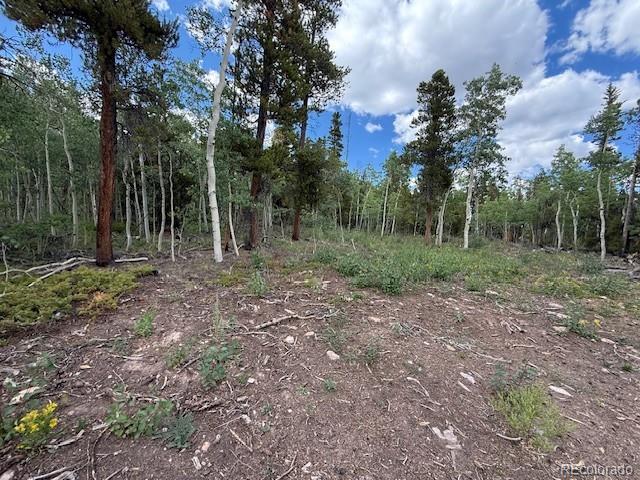451 Lamb Mountain Road Fairplay, CO 80440 - Photo 8 of 29 a view of outdoor space with green space