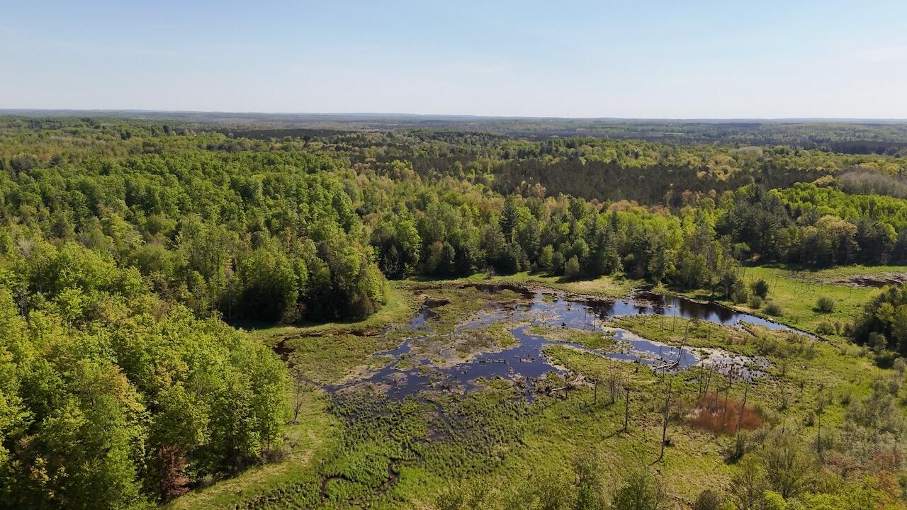 11547 1 Mile Road Leroy, MI 49655 - Photo 53 of 73 42_