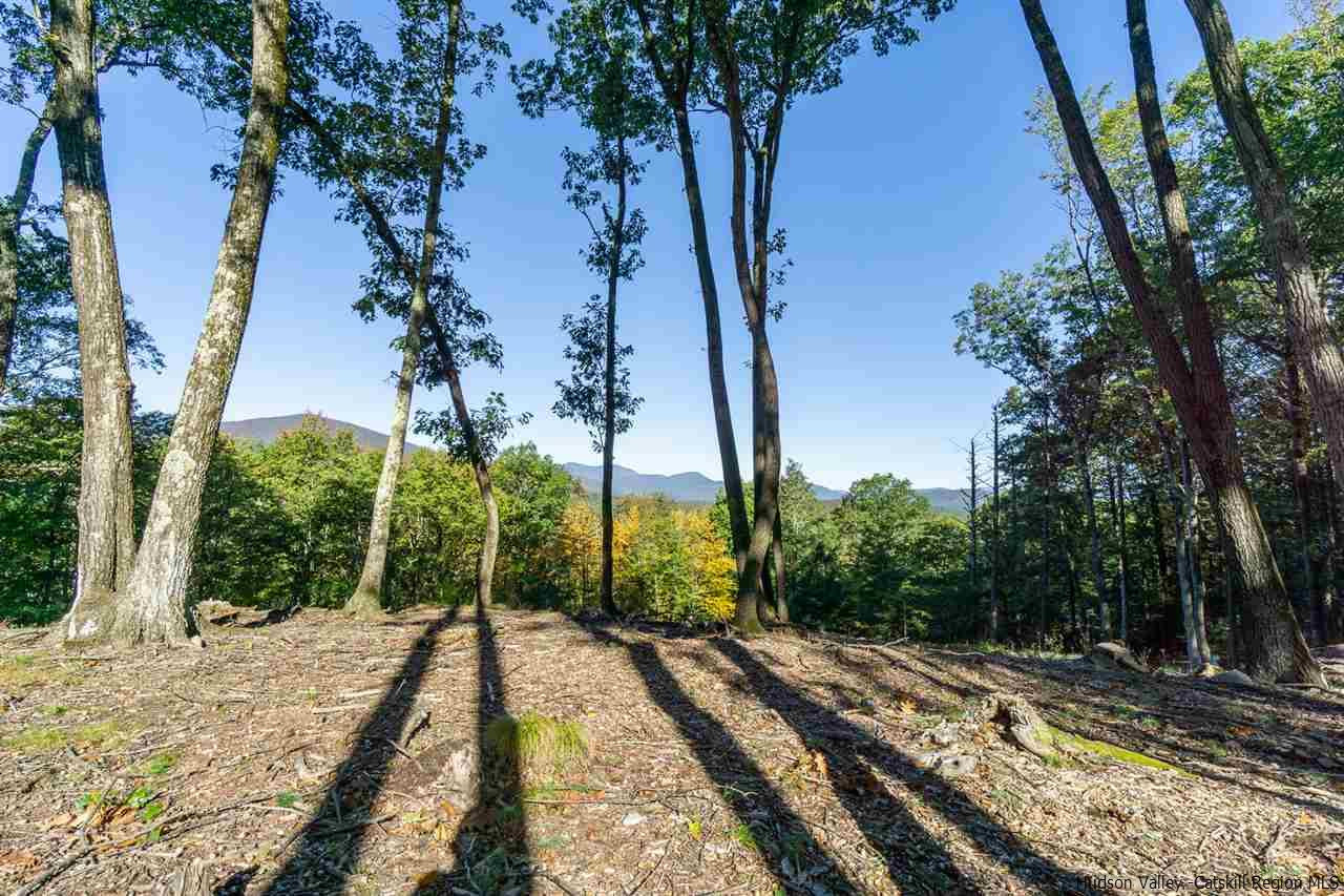 Vly Road Stone Ridge, NY 12484 - Photo 5 of 8 a view of a park with large trees
