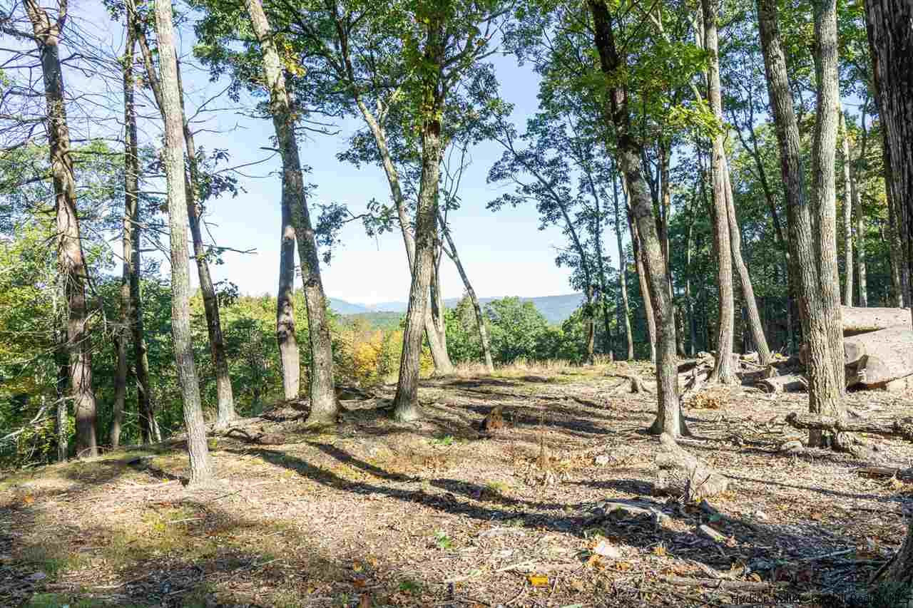 Vly Road Stone Ridge, NY 12484 - Photo 6 of 8 a view of a yard with trees