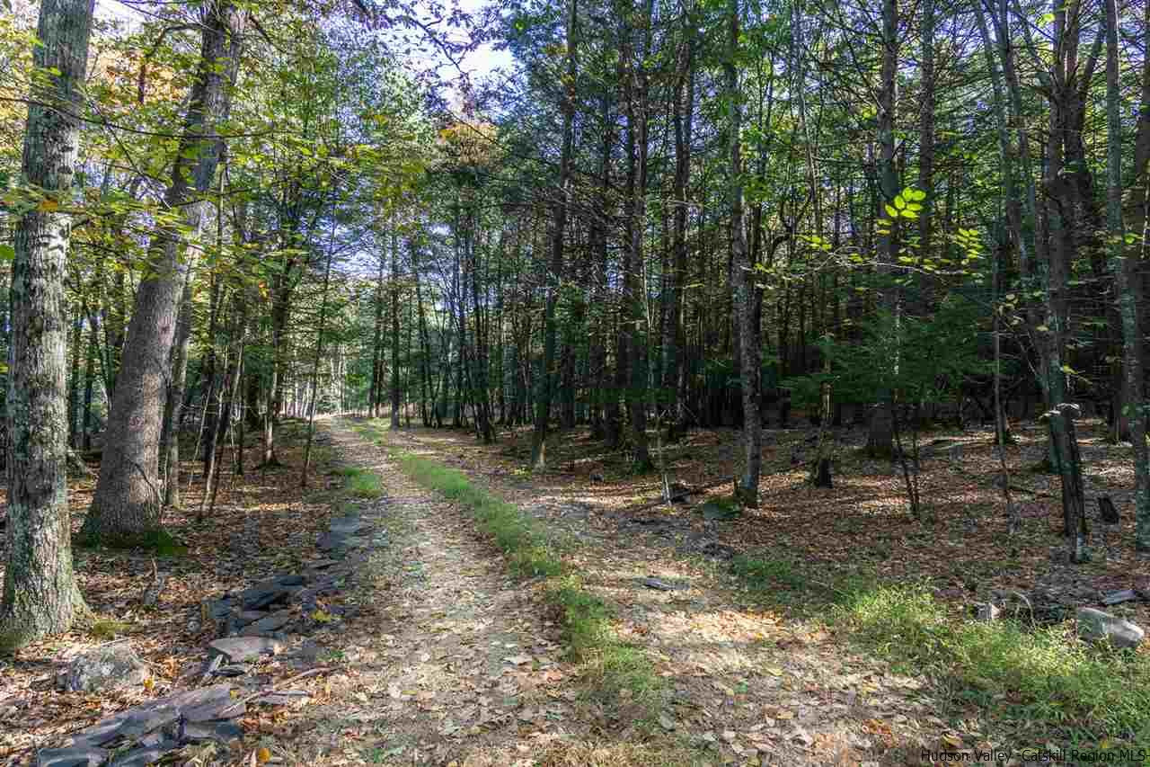 Vly Road Stone Ridge, NY 12484 - Photo 8 of 8 a view of outdoor space with trees all around