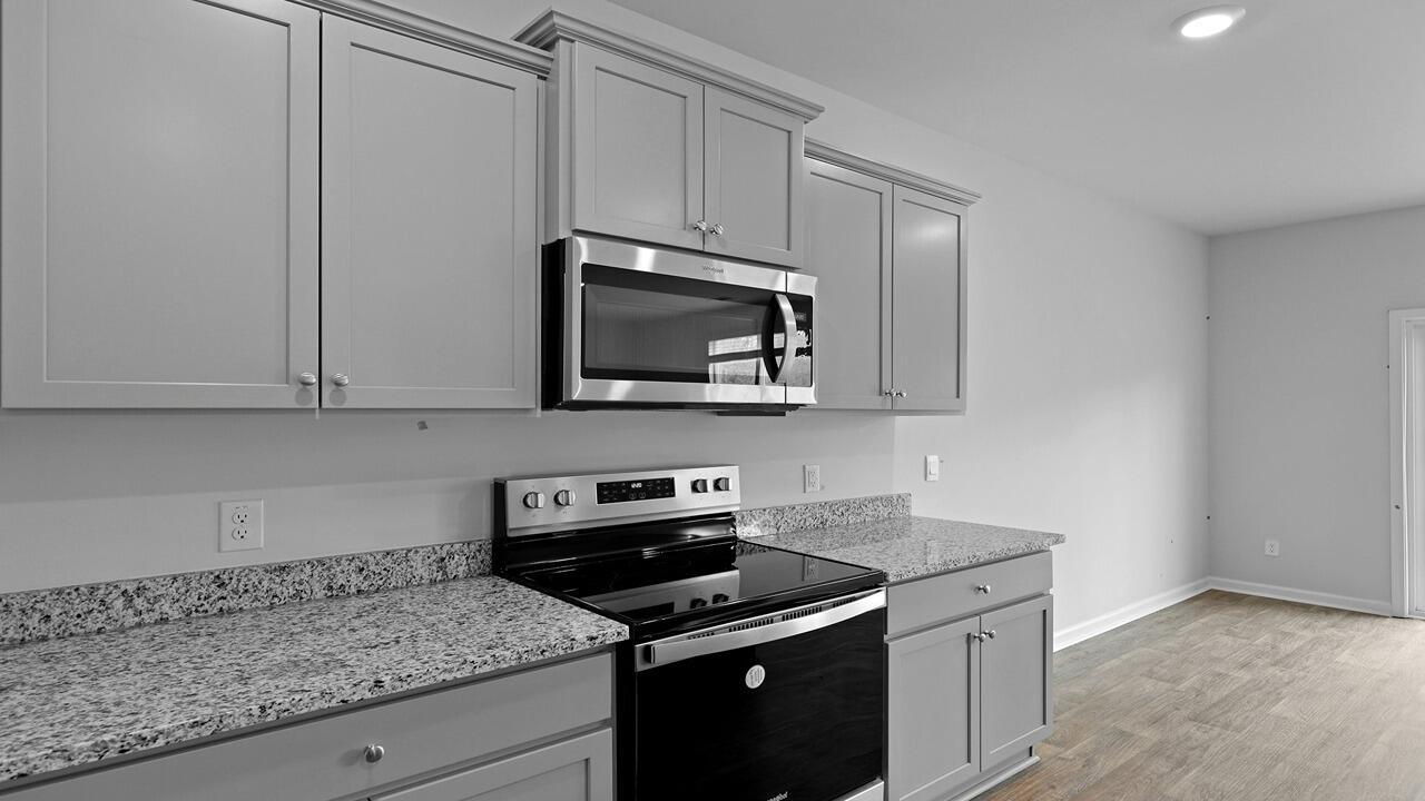 172 Morning View Way Moncks Corner, SC 29461 - Photo 2 of 42 19-web-or-mls-RU4A0119