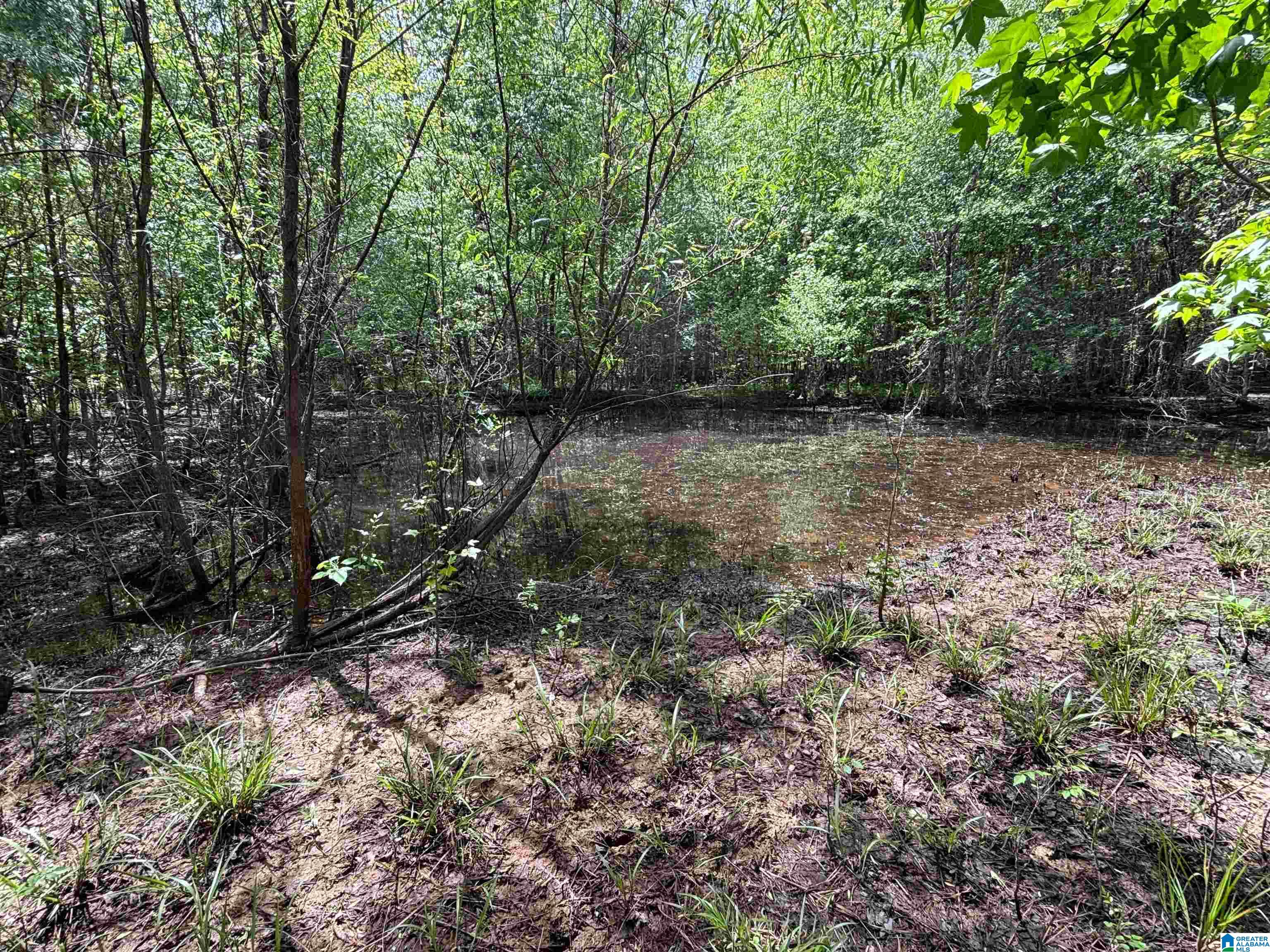 498 Blackwood Road, Unit 14 9 ACRES Parrish, AL 35580 - Photo 8 of 50