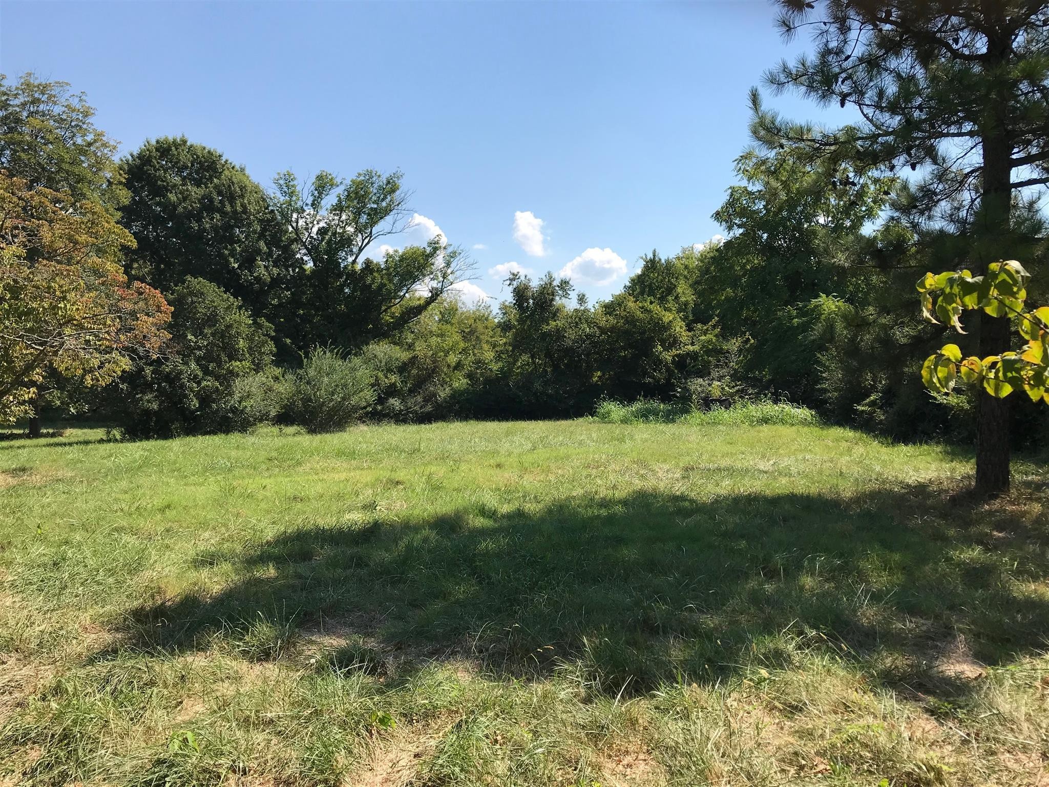 1231 Old Salem Road Murfreesboro, TN 37129 - Photo 2 of 14 Gallery Image 2