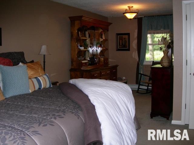 1130 Lakeview Road South Dahinda, IL 61428 - Photo 10 of 16 Gallery Image 10