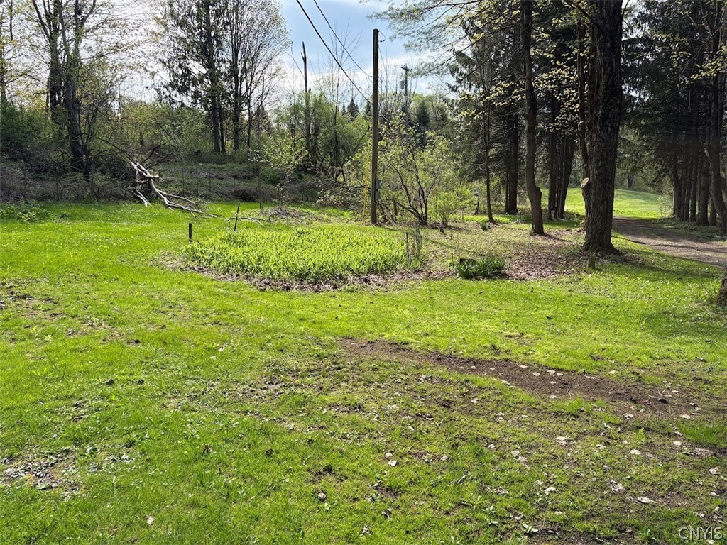 10827 Highway 365 Remsen, NY 13438 - Photo 12 of 26
