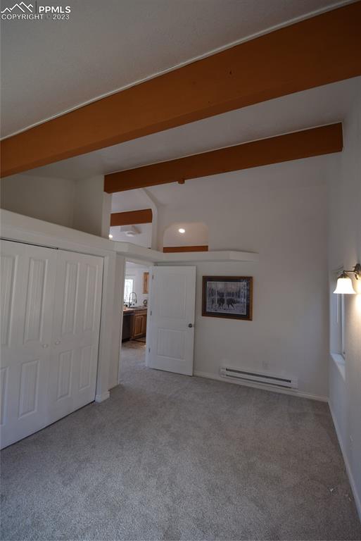 17618 Highway 67 Divide, CO 80814 - Photo 13 of 45