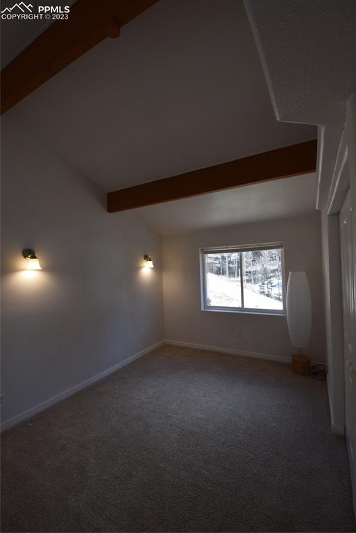 17618 Highway 67 Divide, CO 80814 - Photo 15 of 45