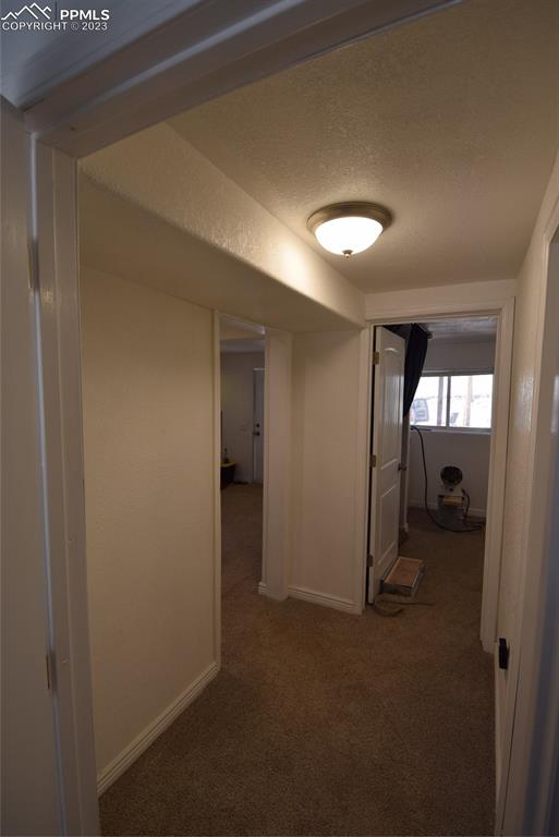 17618 Highway 67 Divide, CO 80814 - Photo 16 of 45