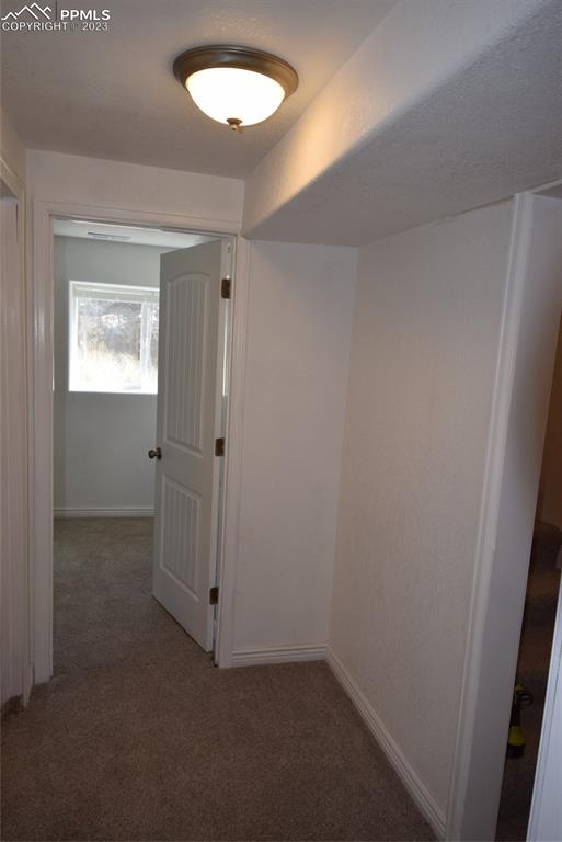 17618 Highway 67 Divide, CO 80814 - Photo 21 of 45