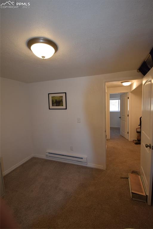 17618 Highway 67 Divide, CO 80814 - Photo 26 of 45