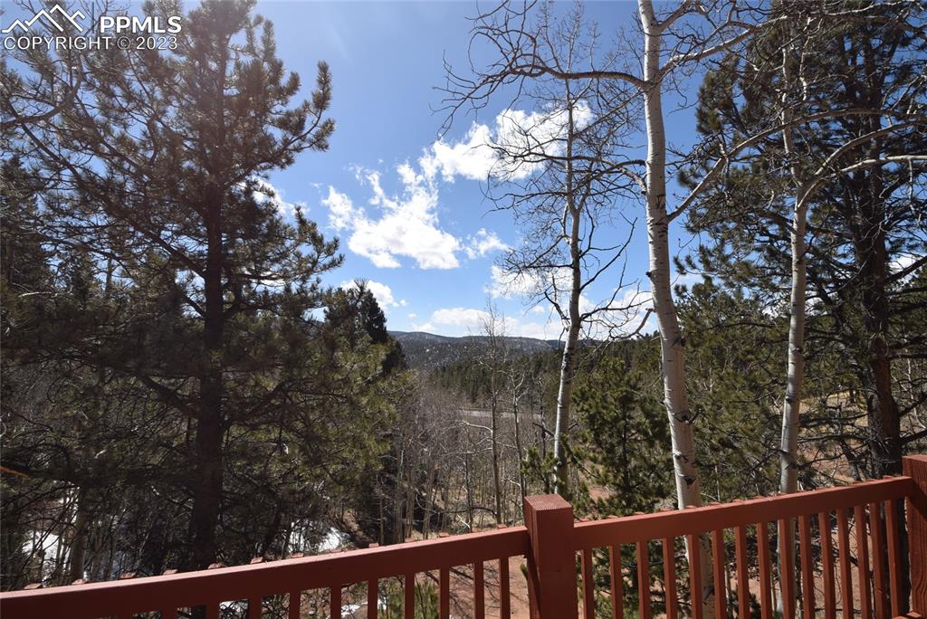 17618 Highway 67 Divide, CO 80814 - Photo 31 of 45