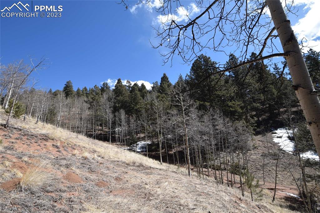 17618 Highway 67 Divide, CO 80814 - Photo 33 of 45