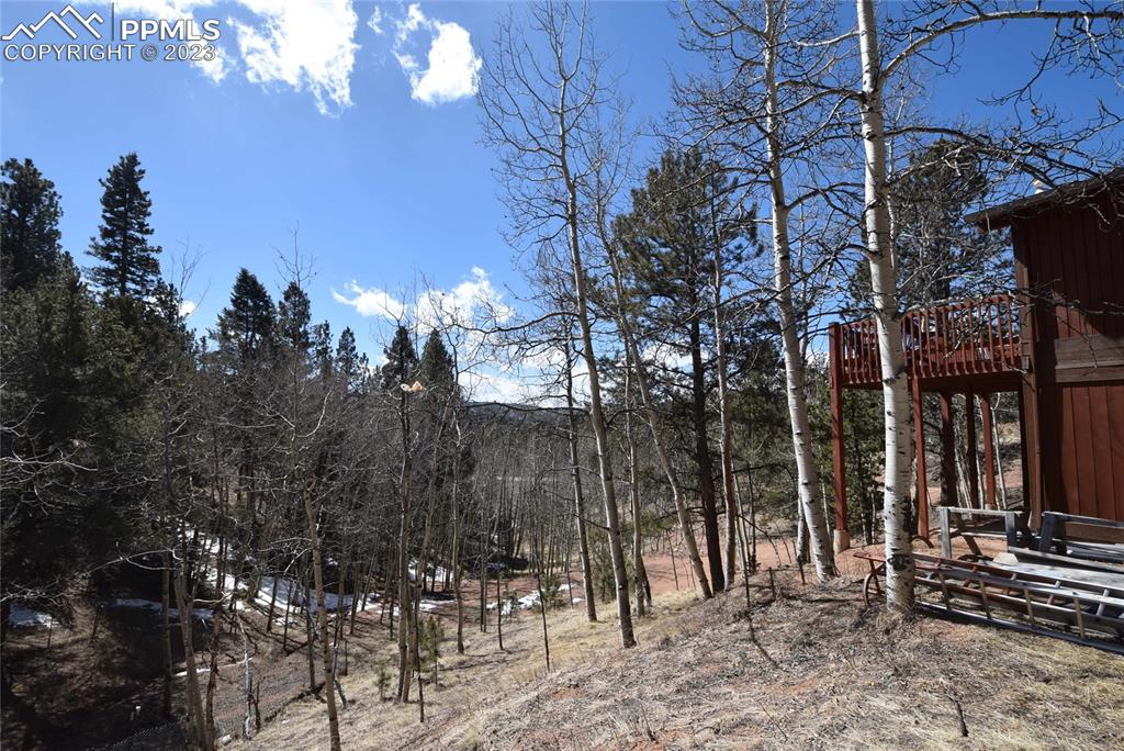 17618 Highway 67 Divide, CO 80814 - Photo 38 of 45