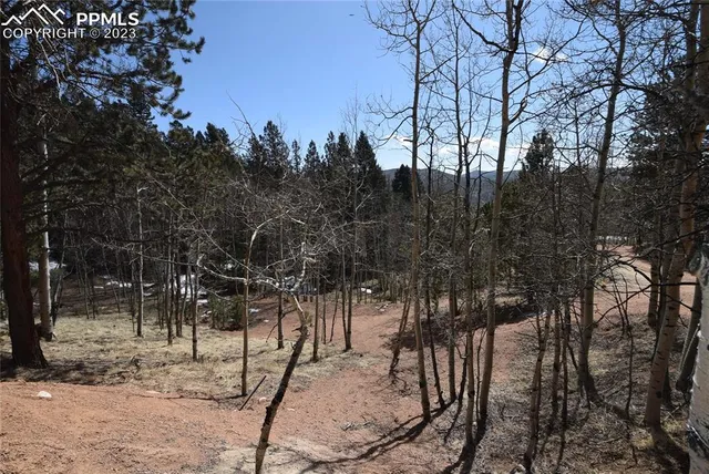 $379,000 | 17618 Highway 67, Divide, CO 80814