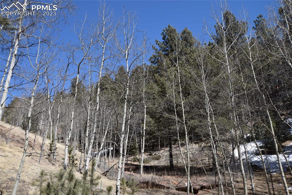 17618 Highway 67 Divide, CO 80814 - Photo 41 of 45