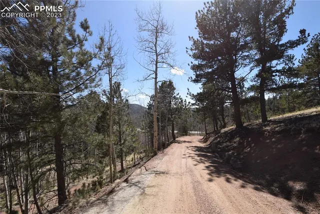 $379,000 | 17618 Highway 67, Divide, CO 80814